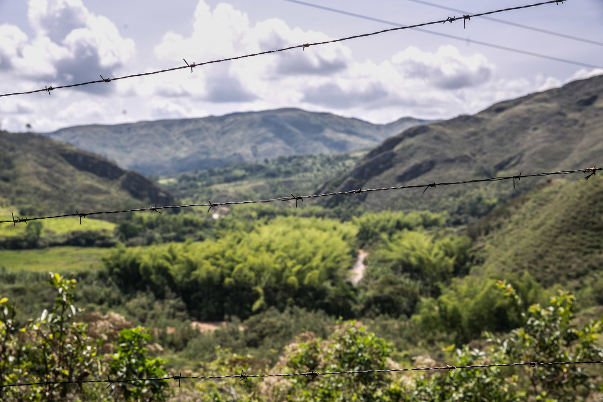 Groen en weelderig berglandschap in Colombia